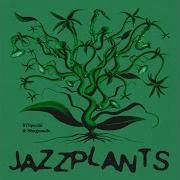 Jazzplants