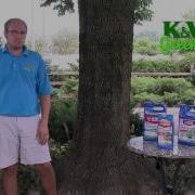 K W Greenery Save Your Ash Trees From The Emerald Ash Borer