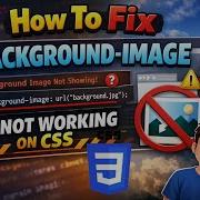 How To Fix Background Image Is Not Working In CSS