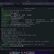 Python Cricket Game