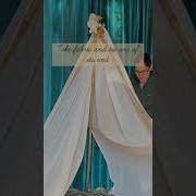 DIY Canopy Tent Christmas Newyear Birthday Photoshoot