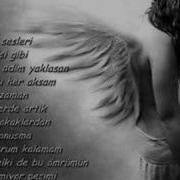Nefretimsin