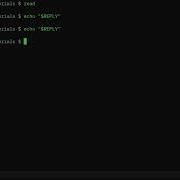 BASH Reply To Read Linux Shell Tutorial