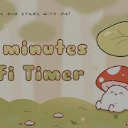 40 Minutes Relax Study With Me Lofi Mushie In A Forest Timer 1hour 40minutetimer Lofi