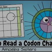 How To Read A Codon Chart