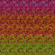 Animated Stereogram Guess What S In The Hidden 3D