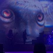 Tool Vicarious Live