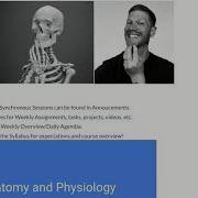 Embedding A Slide Deck Or Word Doc Into Canvas LMS