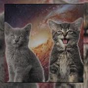 Space Cats Magic Fly Sped Up