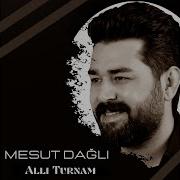 Allı Turnam