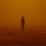 Mr Kitty After Dark Blade Runner 2049