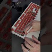 The Ultimate Guide To Choosing The Right Switches Tutorial Tech