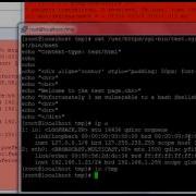 Shellshock Bash Exploit