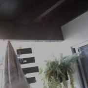 Adolescent Male Yuma Bat Captured Released In SD