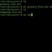 Команда Mv в Linux