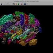 Demonstration Of The Connectome Tool In MRView