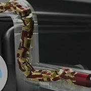 Демонстрация модульной змеи Карнеги Меллона Engadget Expand 2013
