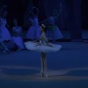 Bruna Gaglianone Spanish Variation III ACT Pharaoh S Daughter
