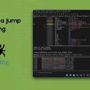X64dbg Reversing A Jump Tutorial Breakpoints Zero Flag Binary Patching Cracking Basics