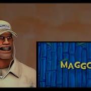 SFM Maggots