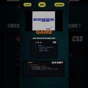 Bouncing Ball Html Css Javascript Programming Coding Hover