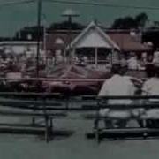 Carnival The Cardigans Unofficial Version