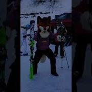 Rules Are Made To Be Broken Furry Fursuit Skiing