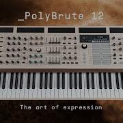PolyBrute 12 The Art Of Expression ARTURIA