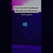 Switch Between Mac And Windows Shorts