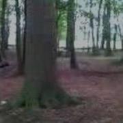 2 Step Wallflip