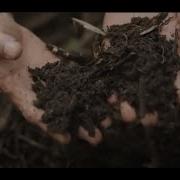 Soils For Life
