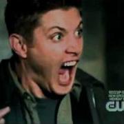 Supernatural Dean Scared Of Some Little Cat