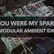 You Were My Spark Modular Ambient IDM XPO STO Tonverk Sealegs Swells