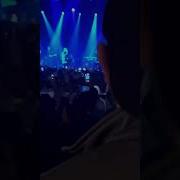 TIF 38 LIVE