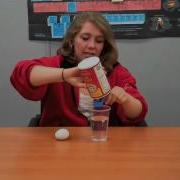 Floating Egg A Fun At Home Science Experiment