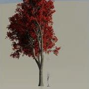 3D Maple Tree Made With Geometry Nodes