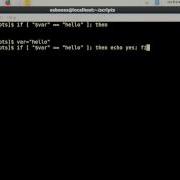 Linux Bash Shell Scripting If Else Tutorial