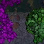Apoptosis And Venetoclax