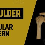 Capsular Pattern Shoulder