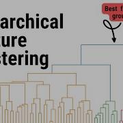 Feature Selection Using Hierarchical Clustering Python Tutorial