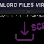 Copy Files From A Server To Your Computer Using Command Line SSH SCP