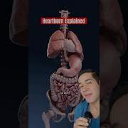 How Does Heartburn REALLY Work