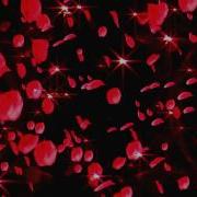 Rose Petals Falling Slow Motion For 5 Minutes