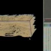 Interactive Direct Volume Rendering Of A Migrated Seismic Section