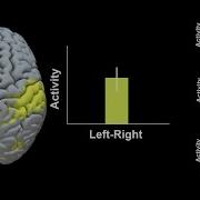 FMRI Lab ROI Analysis With AFNI