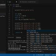 How To Print Output And Use Different Data Formats Using Printf Function
