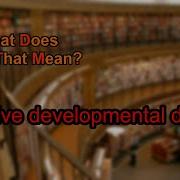What Does Pervasive Developmental Disorder Mean