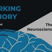The Simple Neuroscience Of Working Memory Verified