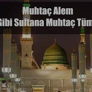 Muhtaç Alem Sen Gibi Sultana Muhtaç Tüm Alem Medih