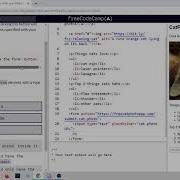 Изучаем HTML на Freecodecamp Урок 17 Add A Submit Button To A Form